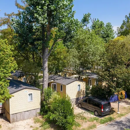 Camping Du Pont D'avignon